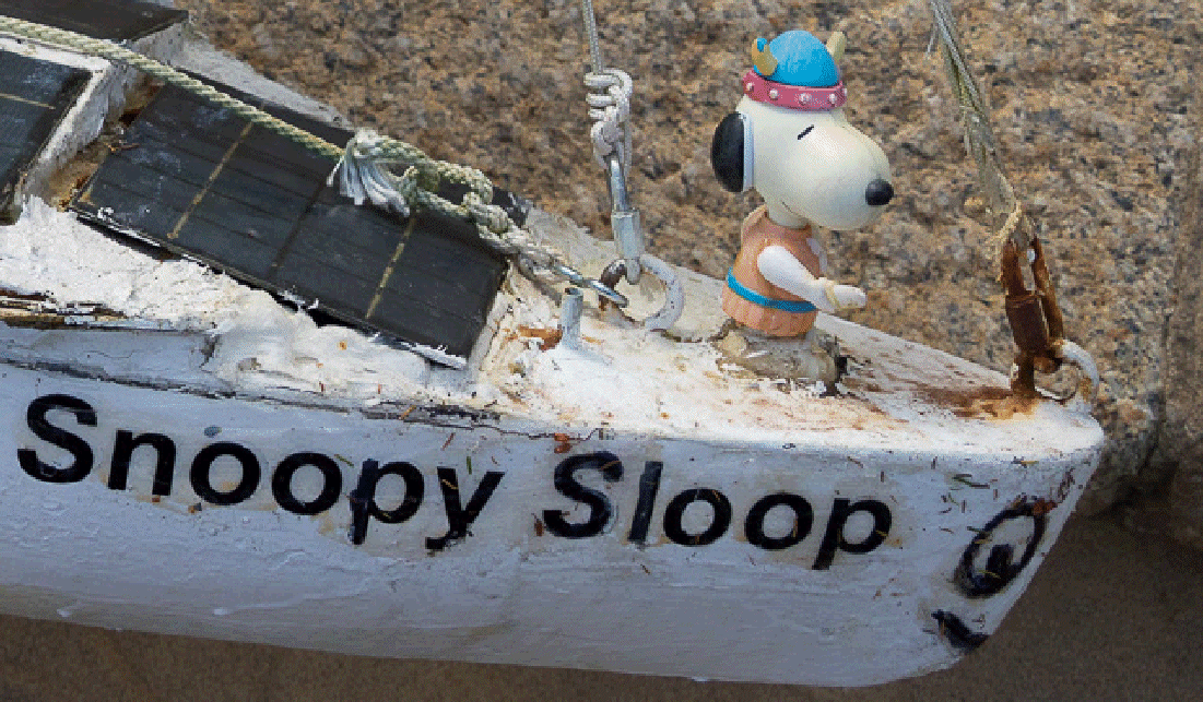 Snoopy's 2016 Trans-Atlantic Attempt