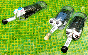 three bottles, sealed, ready for trip to the seaside :-)