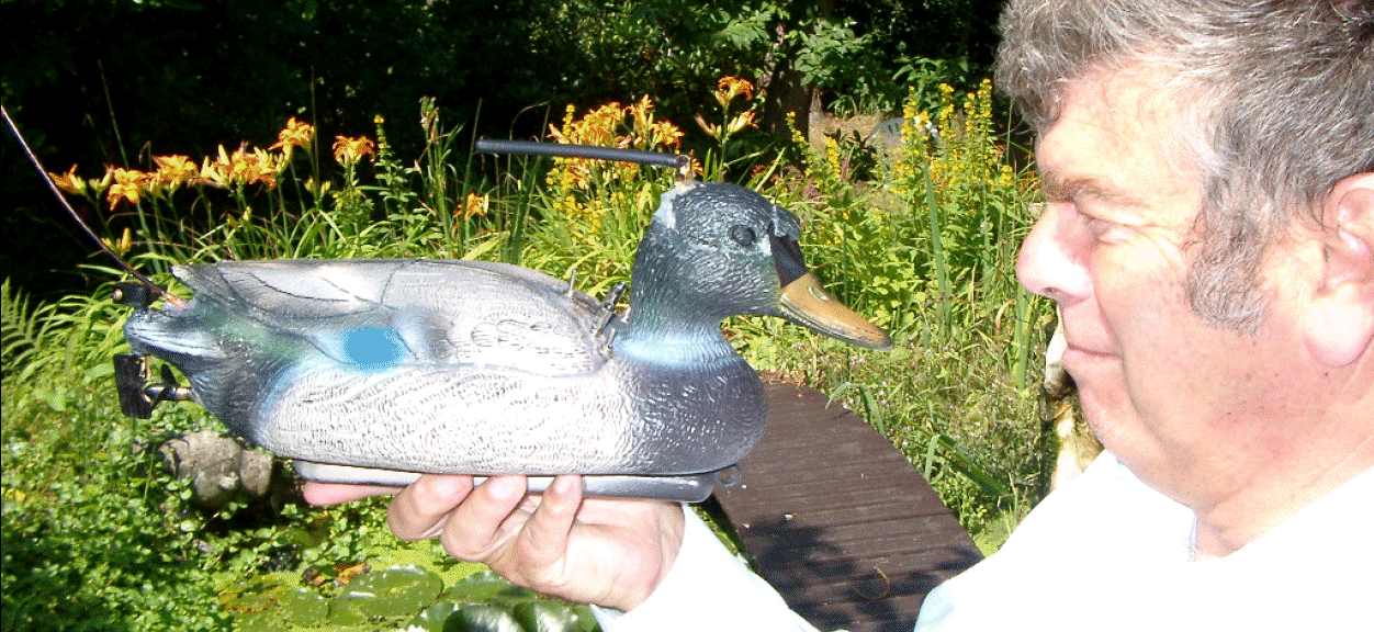 2004 photos
