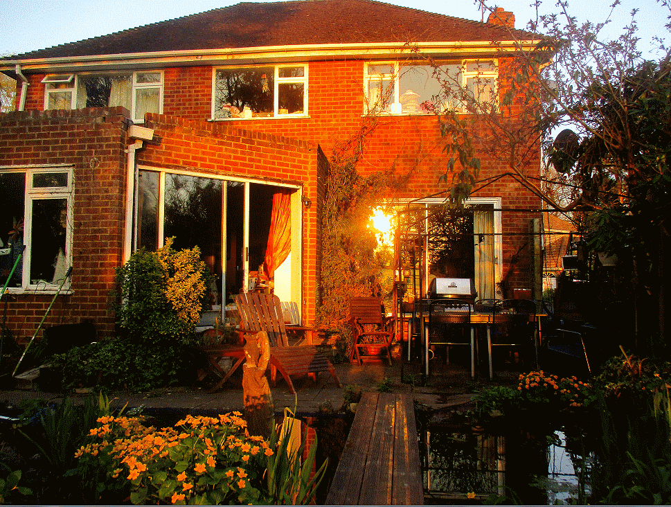 Robin & June's garden