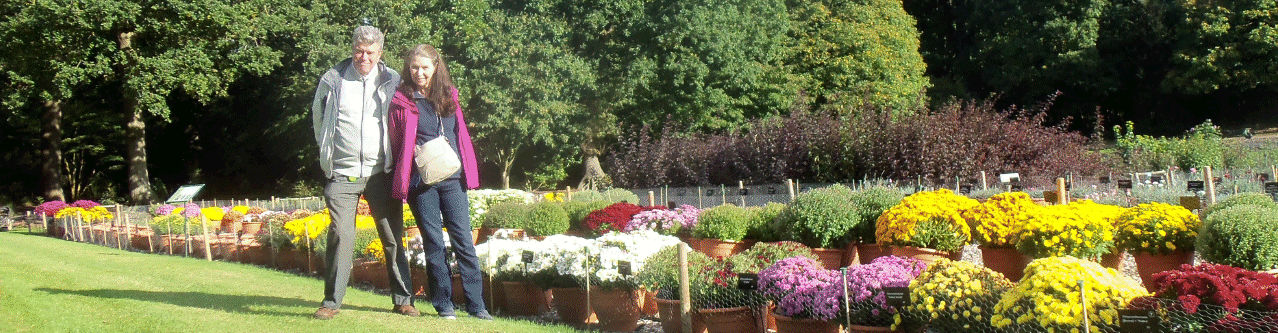 Robin & June's garden