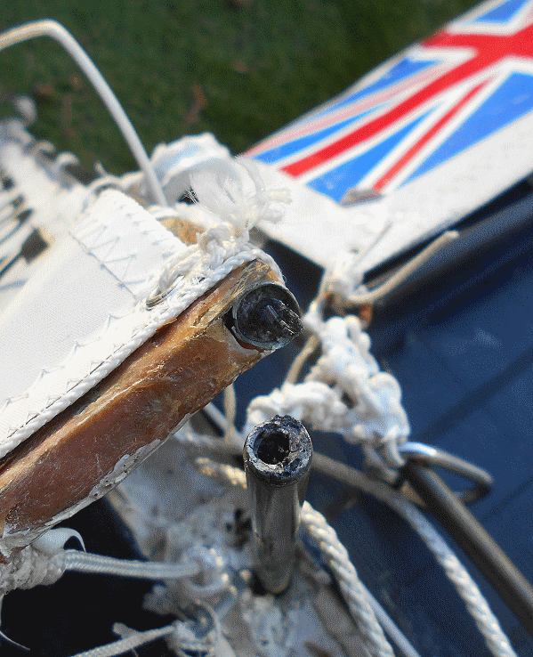 Snoopy Sloop 11 on 26 Feb 2019