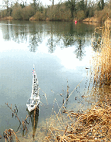 Snoopy drifted in to the north bank