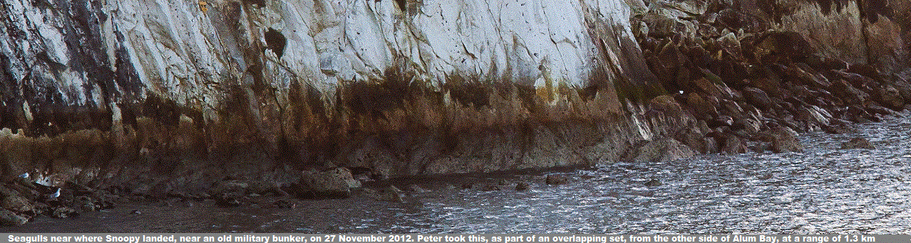 shore line in one of Peter's pictures: sea gulls on left !