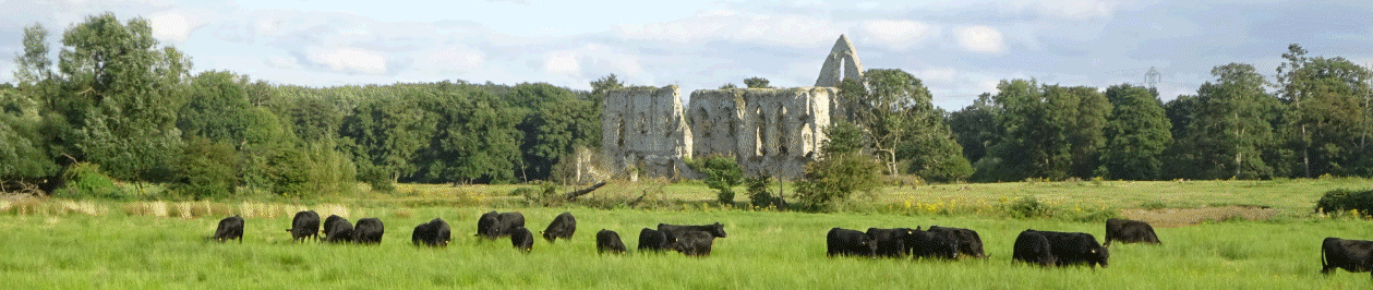 Pyrford & Newark Priory