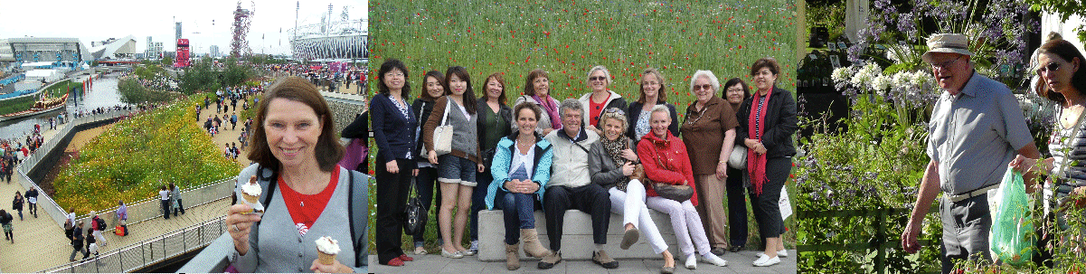 sunny when we visited the Olympic Park, the visit to Floriana during the Axon Party in Holland, and walking around Wisley RHS Gardens with June's dad Jack, now 94!
