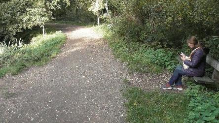 Horseshoe Lake