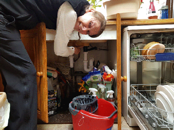 GIF for 2020 Christmas Newsletter animates GIF