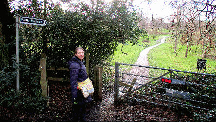 Longacres and Windlesham Golf